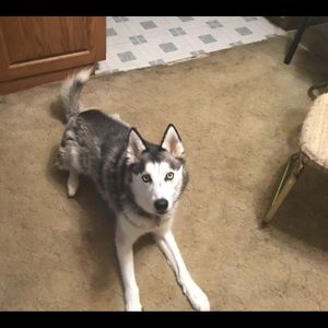 Meet your Posher, Tammie